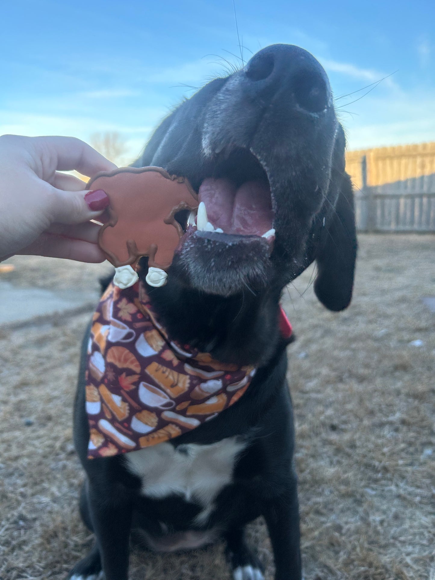 Fall Deserts Dog Bandana