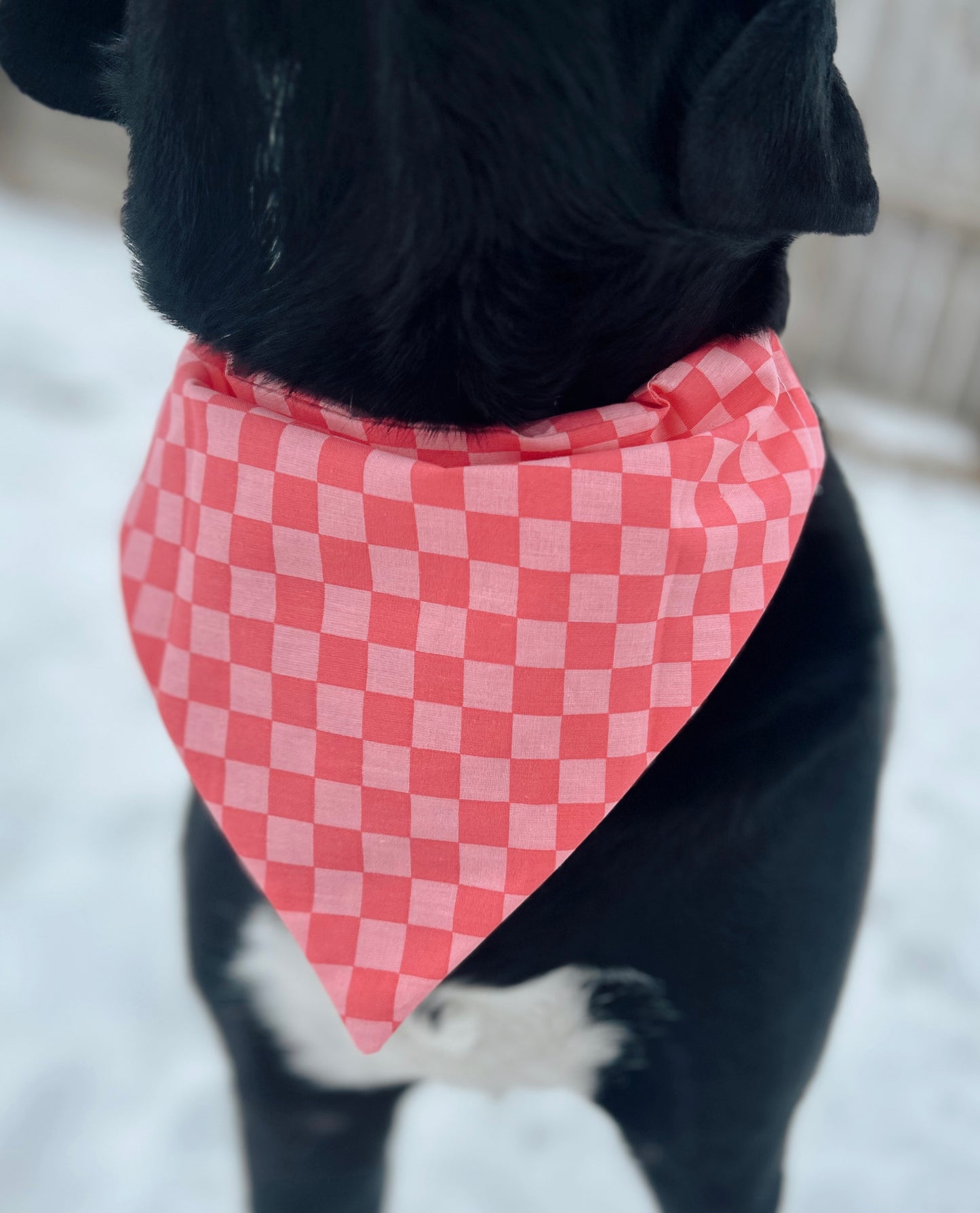 Valentines Checkered Board Dog Bandana