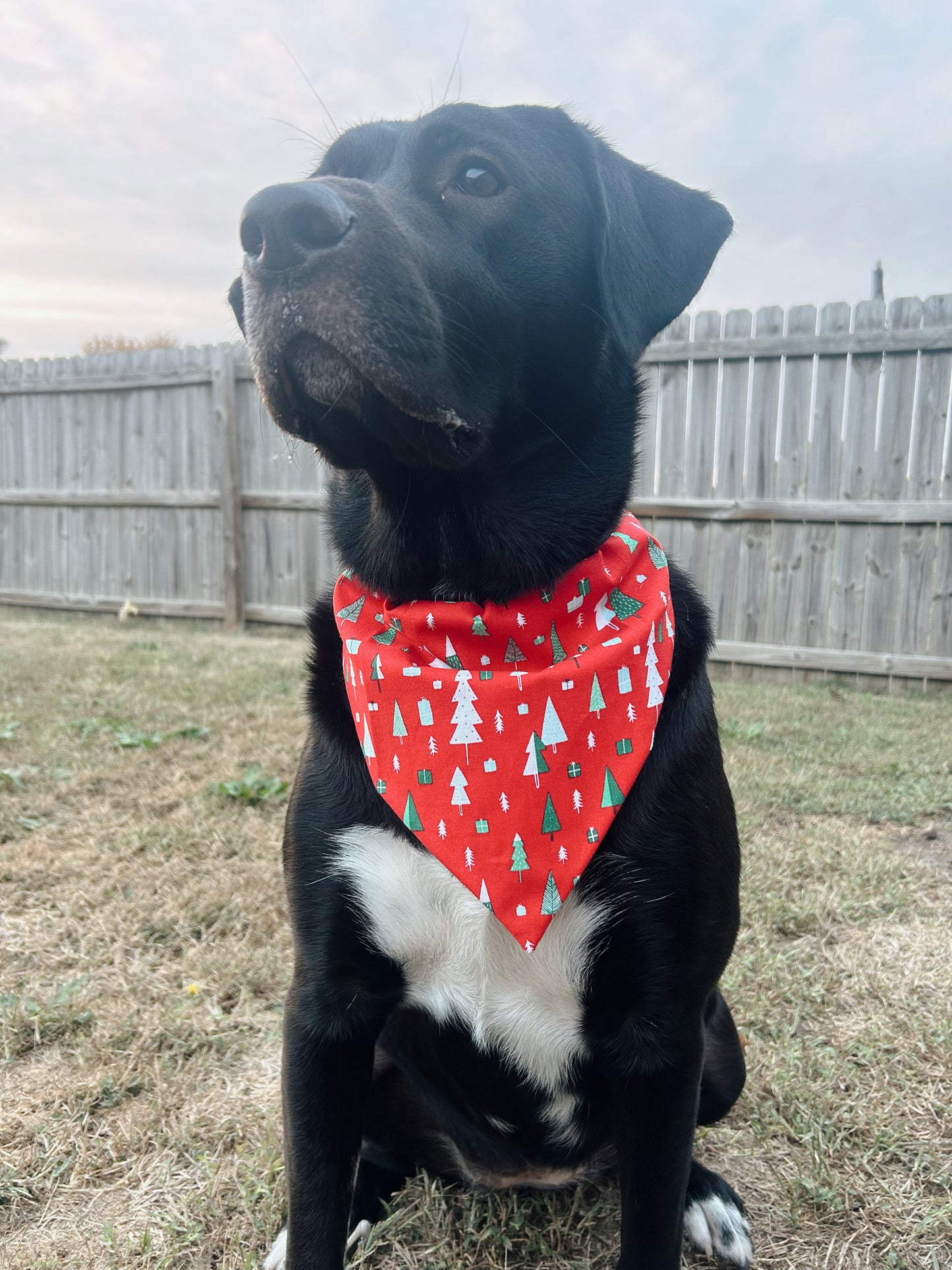 Christmas Tree Dog Bandana