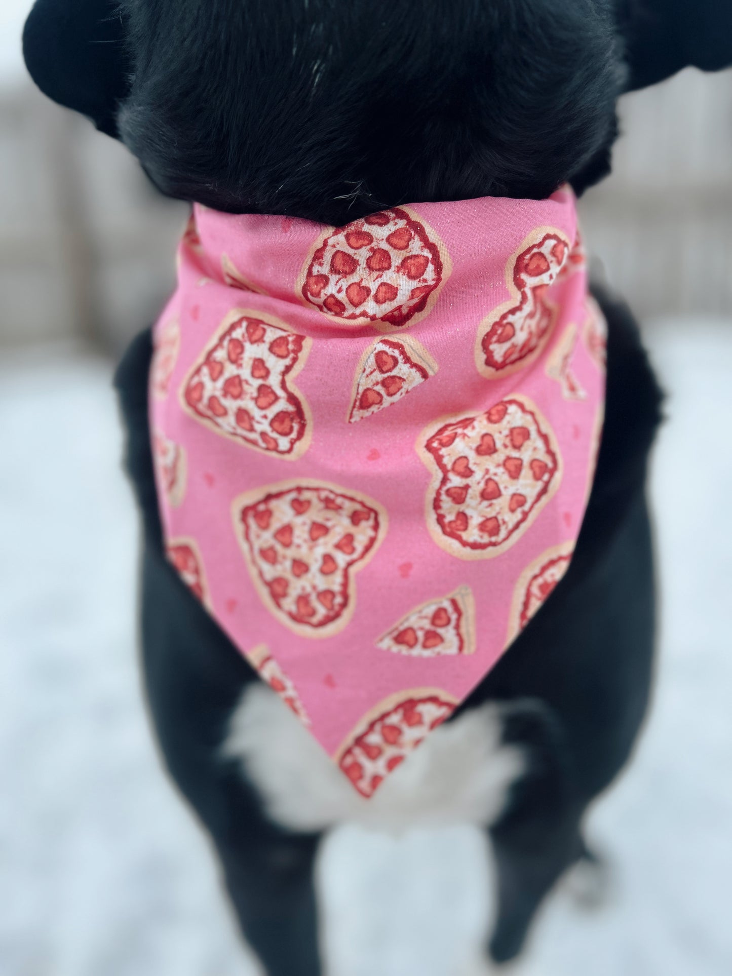 Valentine's Pizza Lover Dog Bandana