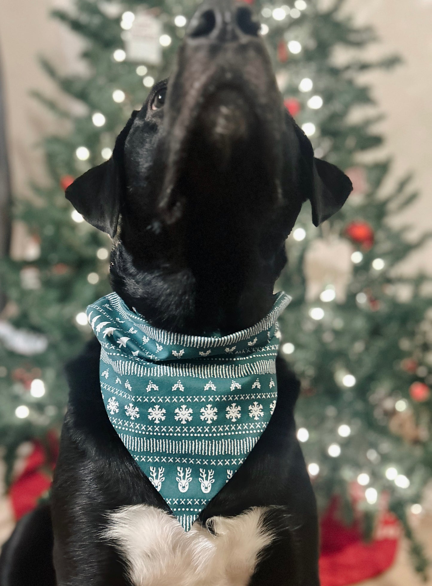 Christmas Sweater Dog Bandana