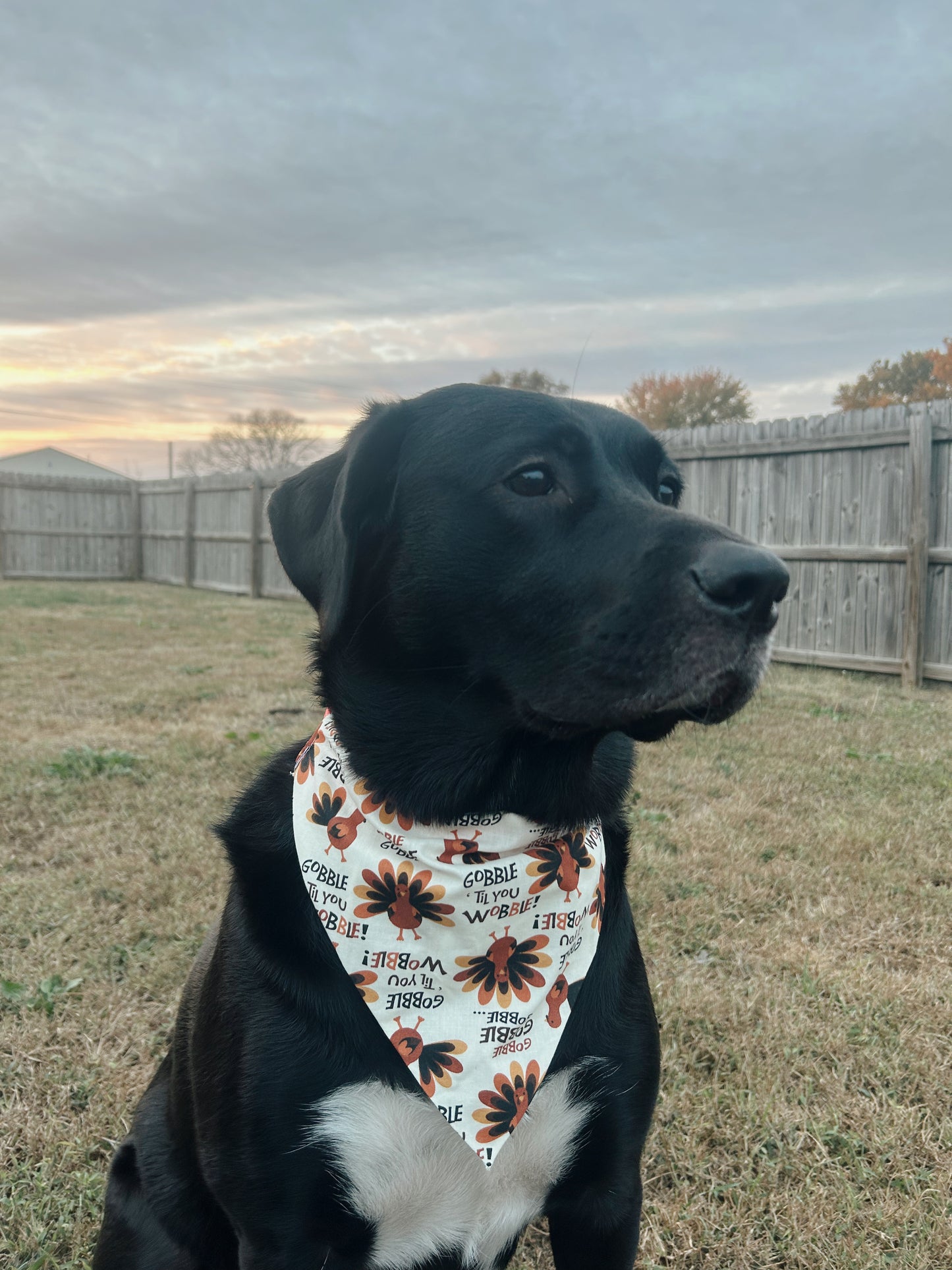 Gobble Til' You Wobble Dog Bandana