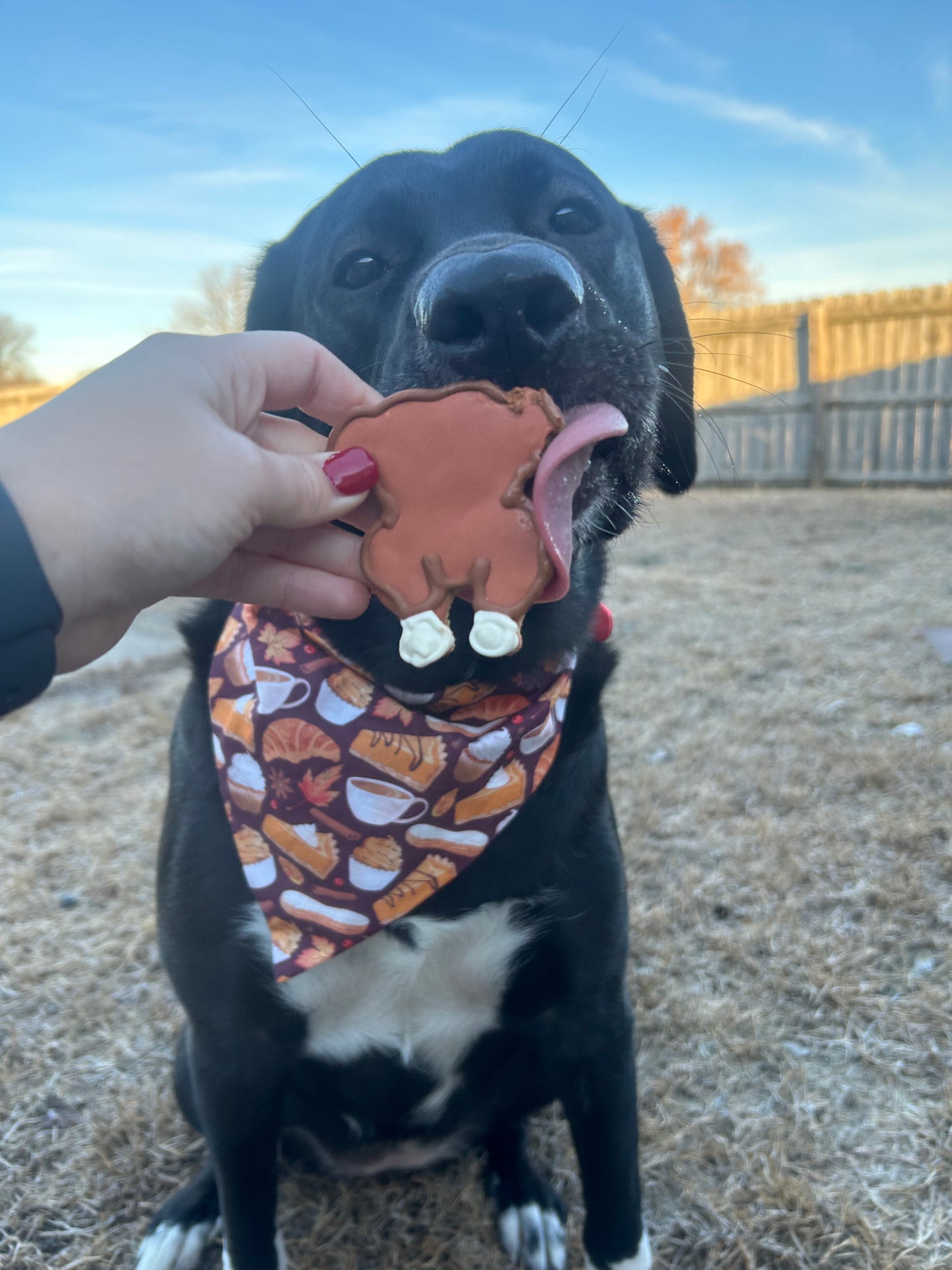 Fall Deserts Dog Bandana