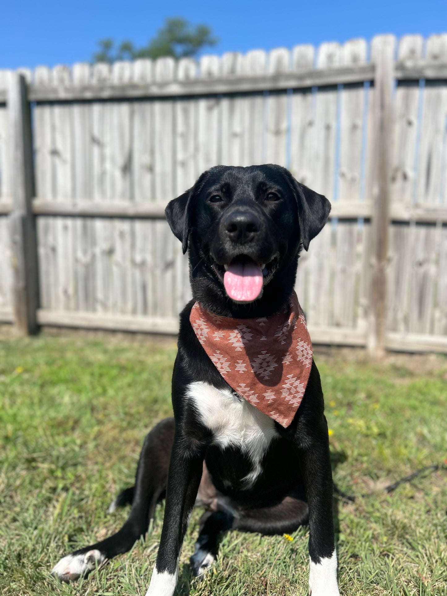 Aztec Dog Bandana