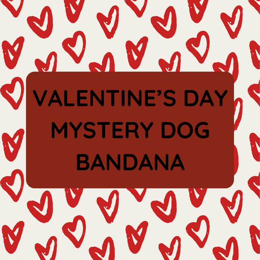 Valentine's Day Mystery Dog Bandana